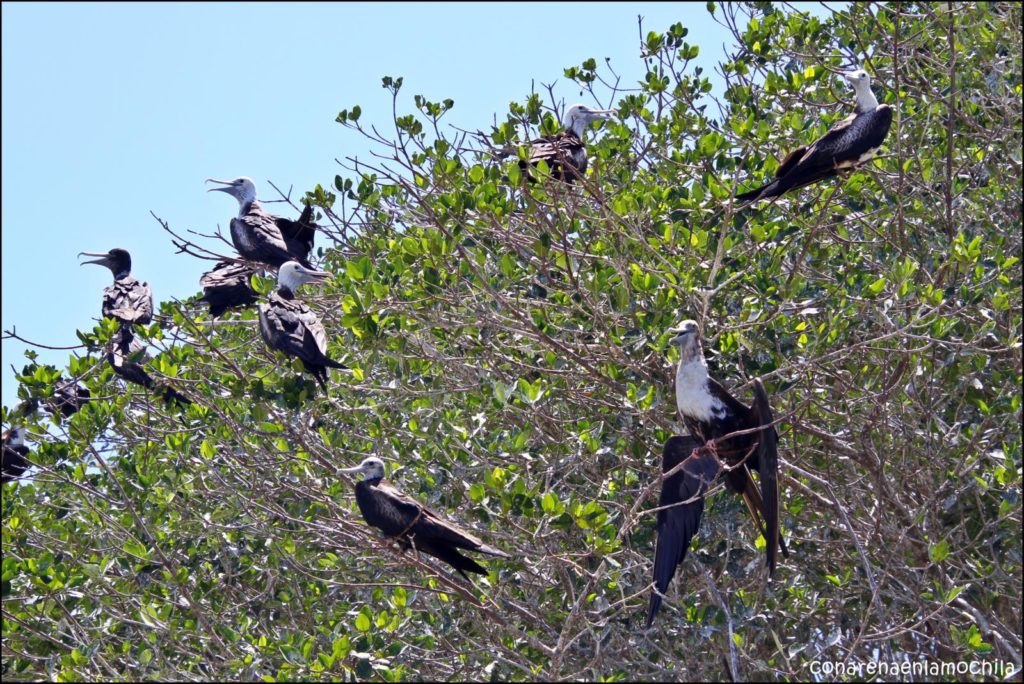 Celestún Yucatán México