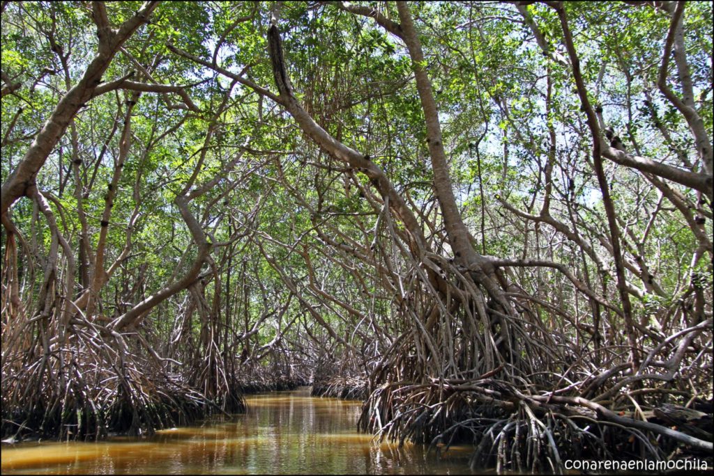 Celestún Yucatán México