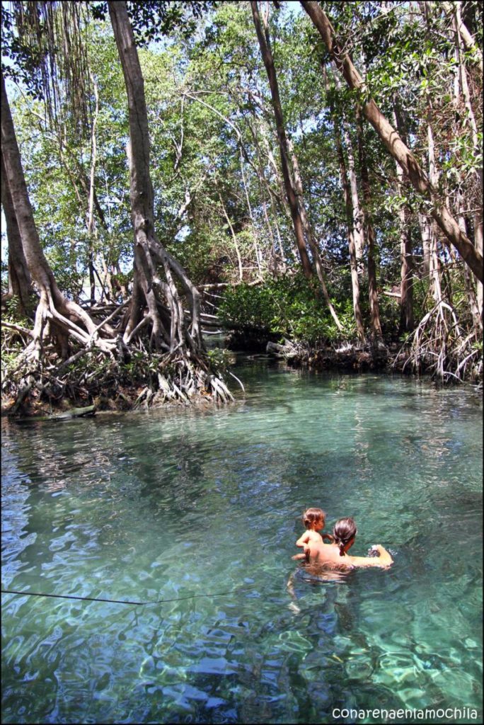 Celestún Yucatán México