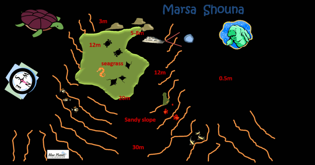 Marsa Shouna Mar Rojo Egipto