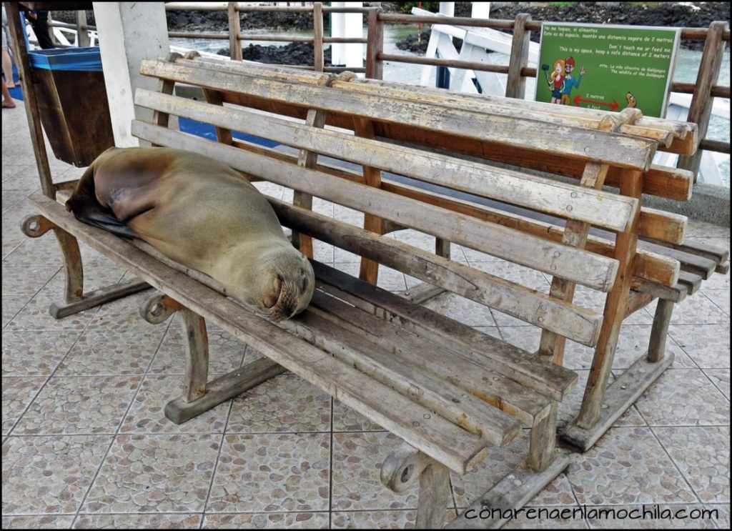 Santa Cruz Galápagos Ecuador