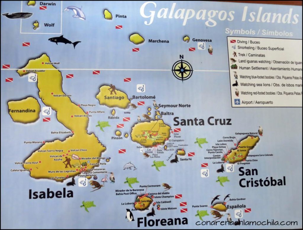 Santa Cruz Galápagos Ecuador