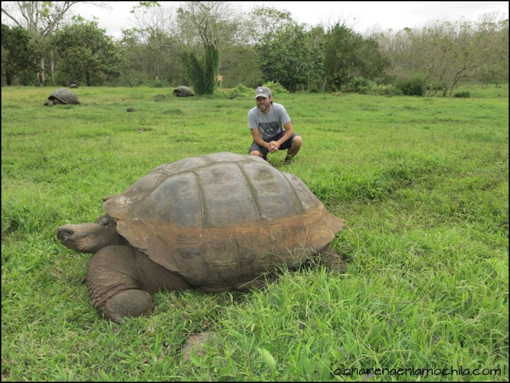 Santa Cruz Galápagos Ecuador