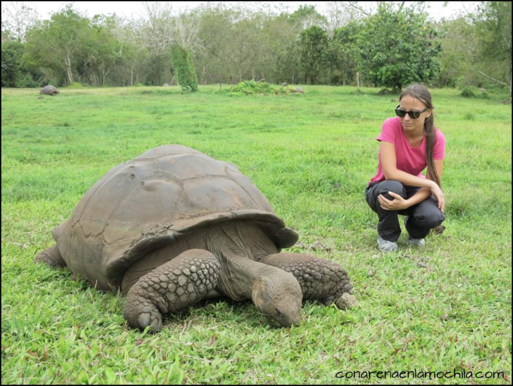 Santa Cruz Galápagos Ecuador