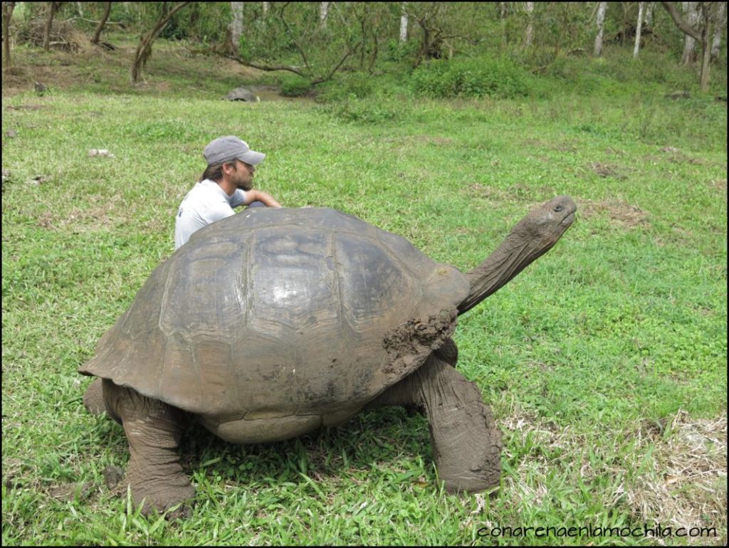 Santa Cruz Galápagos Ecuador