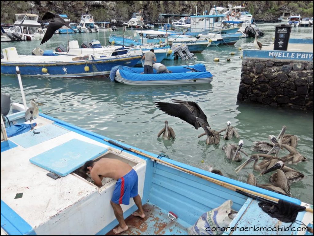 Santa Cruz Galápagos Ecuador