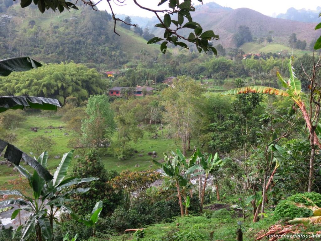 Salento Eje Cafetero Armenia Colombia