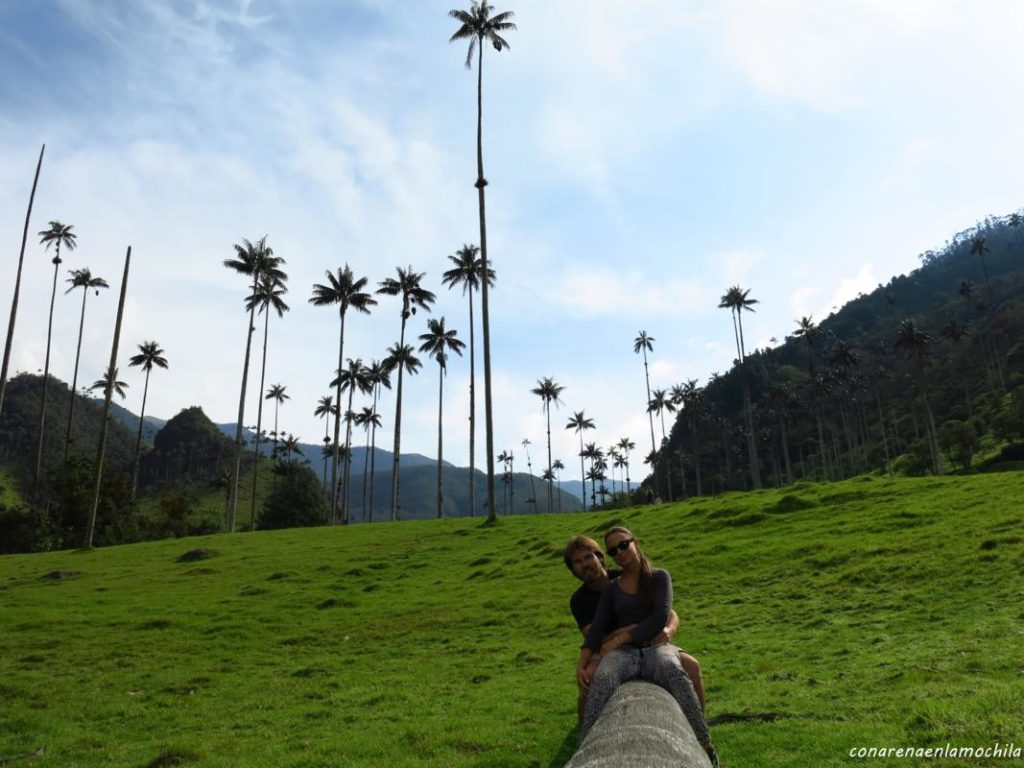 Valle del Cocora Eje Cafetero Armenia Colombia