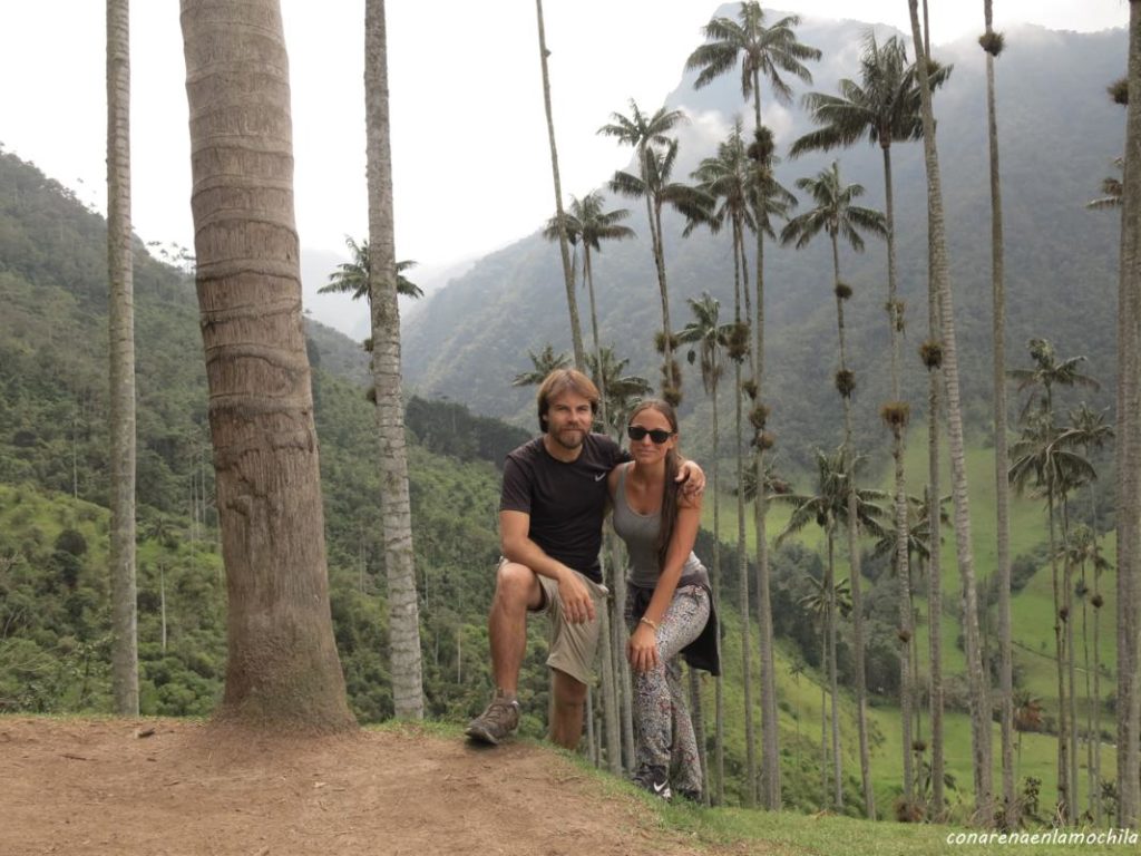 Valle del Cocora Eje Cafetero Armenia Colombia