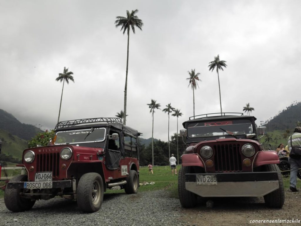 Valle del Cocora Eje Cafetero Armenia Colombia