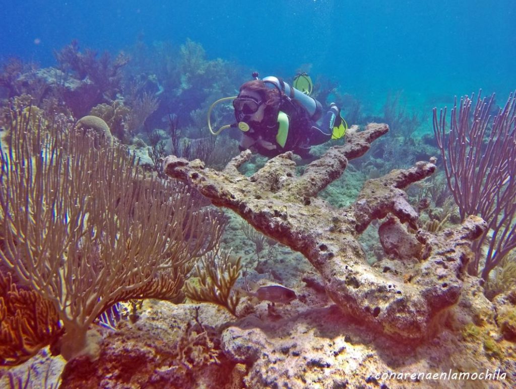 Cayo Guillermo Cuba