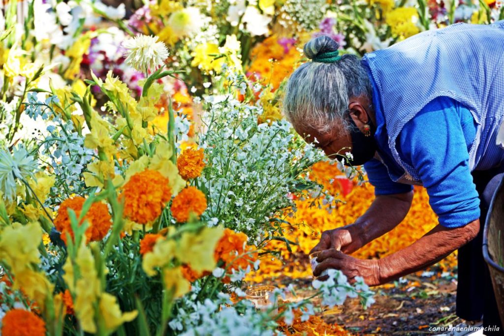 Día de Muertos Tzurumútaro Michoacán México