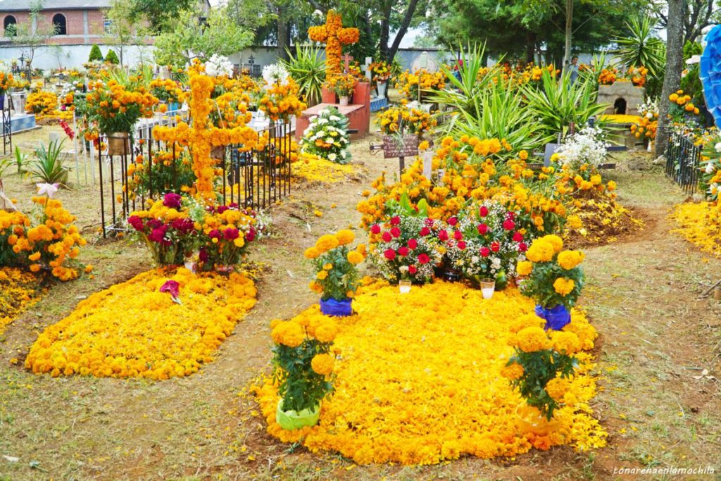 Día de Muertos San Pedro Pareo Michoacán México